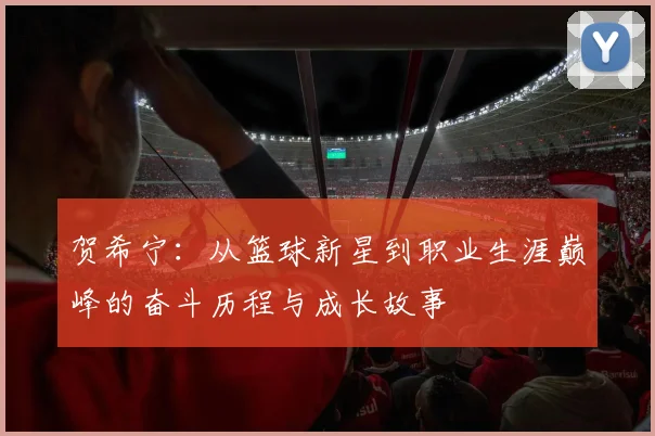 贺希宁：从篮球新星到职业生涯巅峰的奋斗历程与成长故事