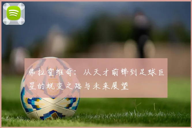 弗拉霍维奇：从天才前锋到足球巨星的蜕变之路与未来展望