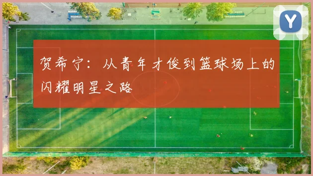 贺希宁：从青年才俊到篮球场上的闪耀明星之路