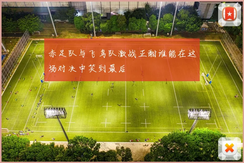 赤足队与飞鸟队激战正酣谁能在这场对决中笑到最后