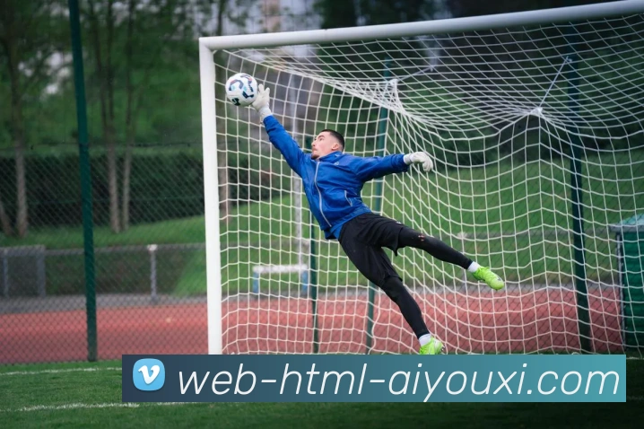 爱游戏平台生态图